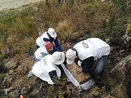 Programa Nacional de Clasificación de Suelos en Colombia