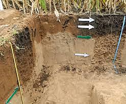 Segunda reunión nacional de suelos