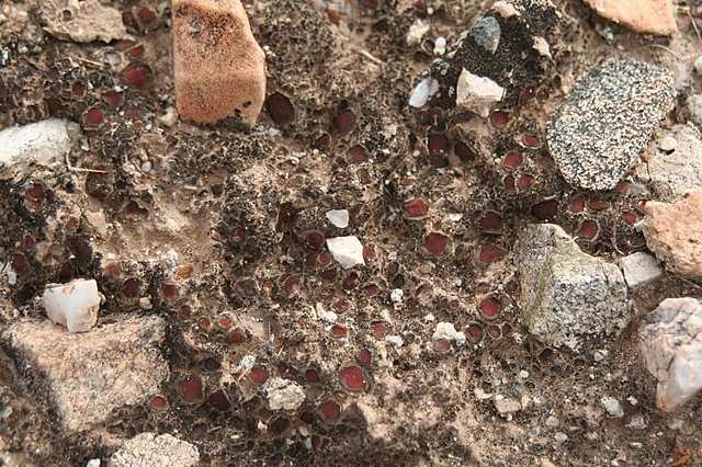 Estabilidad de los minerales