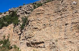 Estudio de suelo azonal