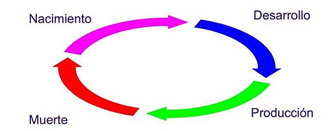 Metodología iterativa o creciente