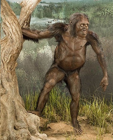 [10 Millones de años atrás] - Primer Homínido