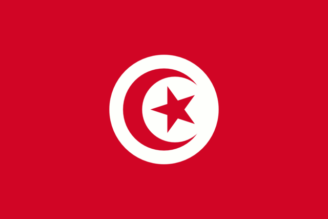 TUNISIA: A Tunisian street vendor sets himself on fire