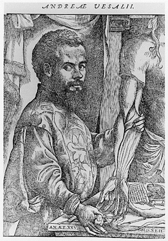 1538 -Andreas Vesalius