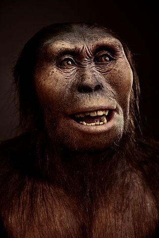 Astralopithecus