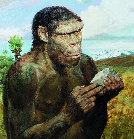 [3 Mill años atrás] - Homo habilis