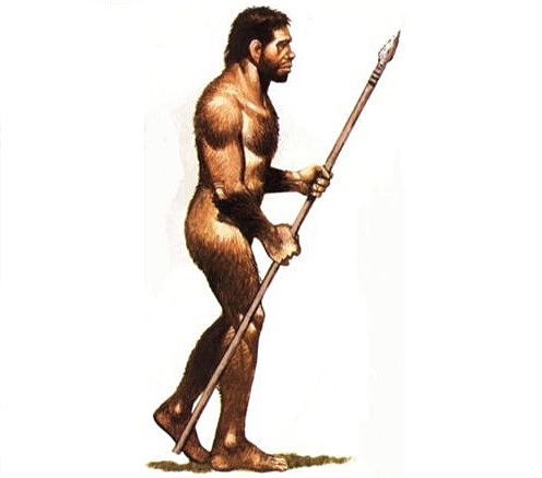 [2 Mill años atrás] - Homo ergaster