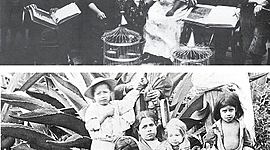 Timeline: Historia económica en México