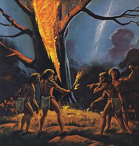 [1.5 Mill de años atrás] -  Homo erectus