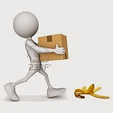 Decree Law 1295 of June 1994