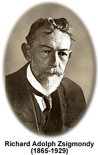 Richard Zsigmondy