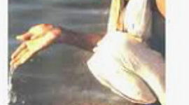 Timeline: HISTORIA DE LA HIDROTERAPIA