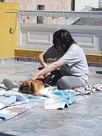 cuando operaron a mi mami