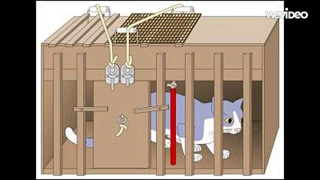 Experimentos de Thorndike