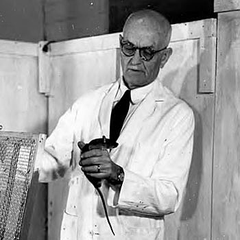 Edward Chace Tolman, del conductismo al cognotivismo.