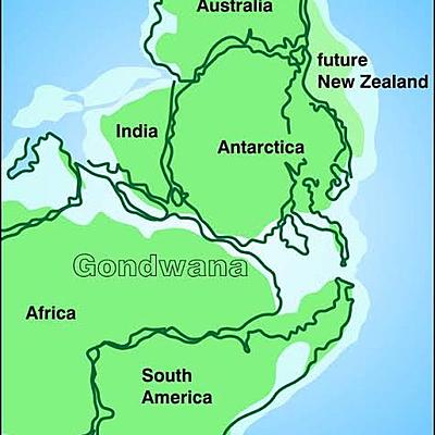 Timeline: Origin of New Zealand
