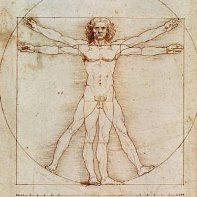 Timeline: Estadisticos