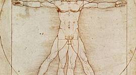 Timeline: Estadisticos