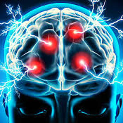 Timeline: Evolución de la Neurociencia de la Conducta