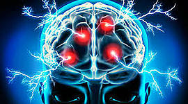 Timeline: Evolución de la Neurociencia de la Conducta