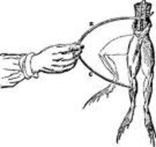 Luigi Galvani: Frog Legs