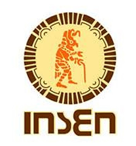 INSTITUTO NACIONAL DE LA SENECTUD (INSEN)