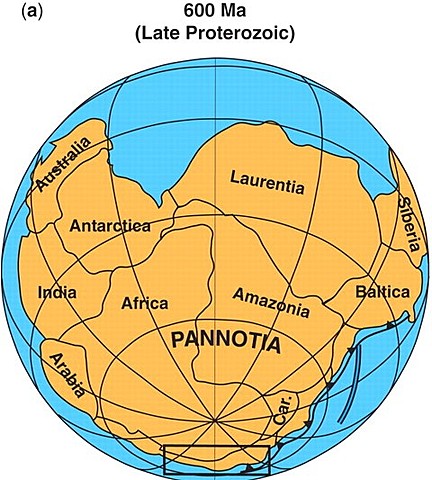 Gondwana starts to form as part of Pangaea
