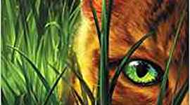 Timeline: Warriors - Into The Wild