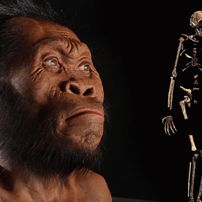 Timeline: Proceso de Hominizacion
