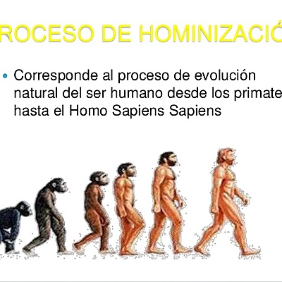 Timeline: Proceso de hominización