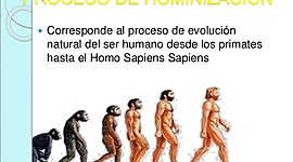 Timeline: Proceso de hominización
