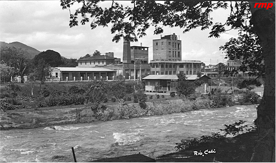 Llegan leyes para proteger el medio ambiente.