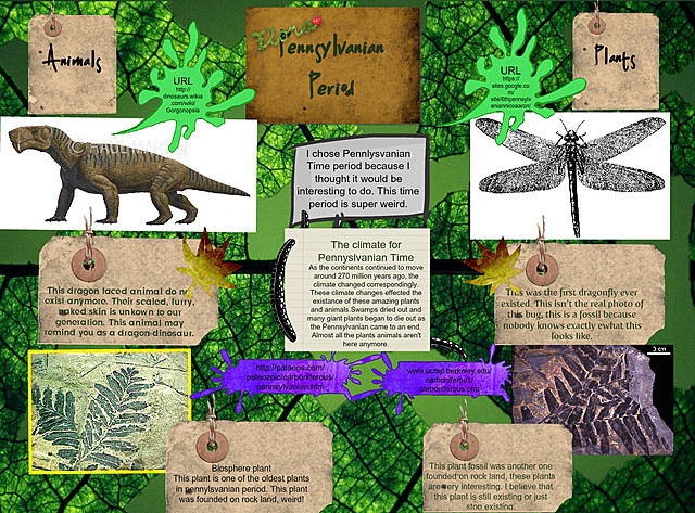 Coal forests, insects and reptiles