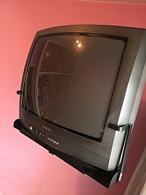 La television
