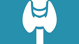 Timeline: Historia de la Endocrinología