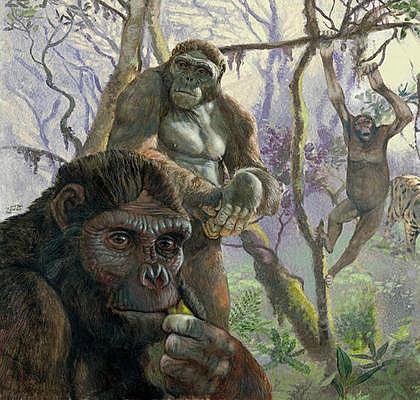 pre-humano  hace 10 millones de años