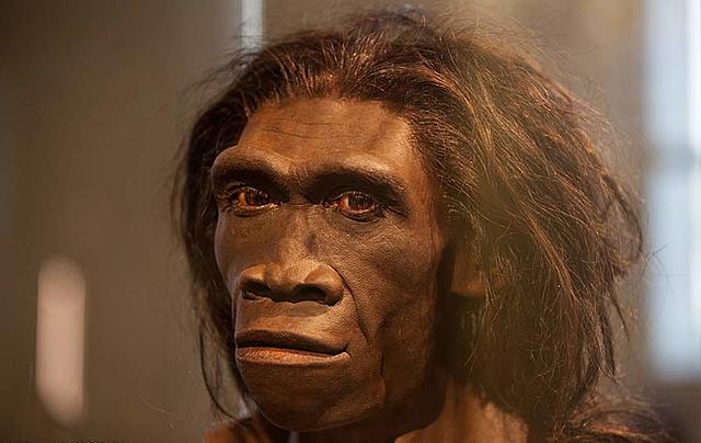 homo erectus hace 500 mil años