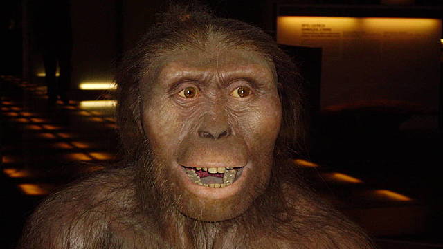 [3,2 - 3,5 millones de años atrás] - Lucy