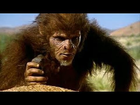[2,4 millones de años atrás] - HOMO HABILIS