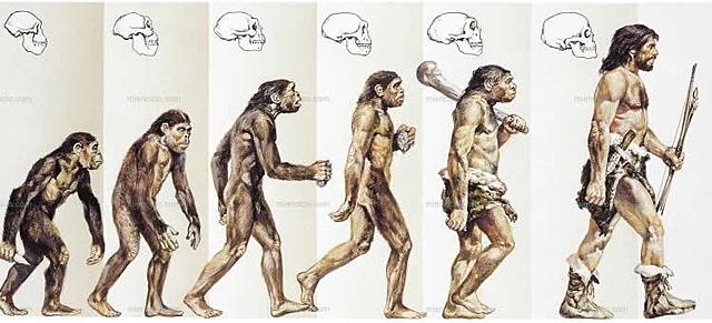 TEORÍA DE LA EVOLUCIÓN POR DARWIN