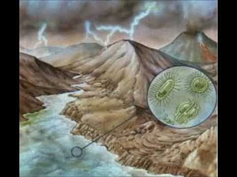 TEORÍA DEL CALDO PRIMORDIAL