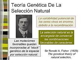 Historia de la genética de poblaciones