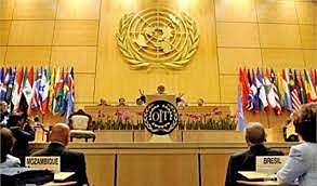 La ONU adopta la Convención Internacional