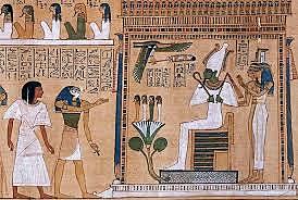 Primeras descripciones de la vez