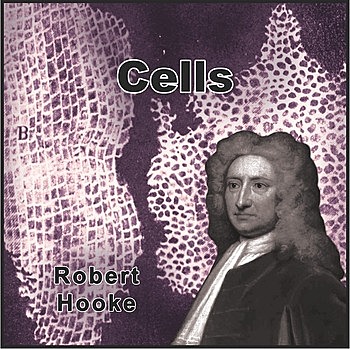 ROBERT HOOKE