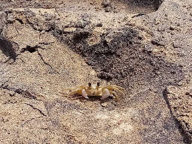 mi viaje a san andres