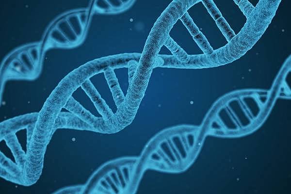 Se revela que los genes están formados por ADN