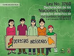 Declaración de las Naciones Unidas sobre los Derechos de los Pueblos Indígenas.