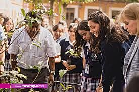 9. Elección de pasos