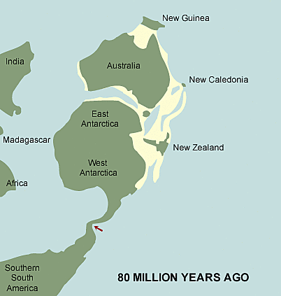 Warmer climate in New Zealand
